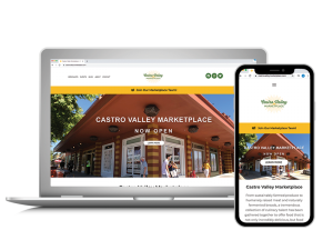 Dolphin-Graphics-Project-Castro-Valley-Marketplace